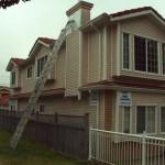 Vinyl Siding Renovation